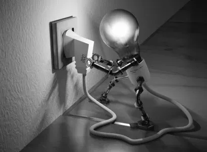 Hoogmans Elektro - lamp